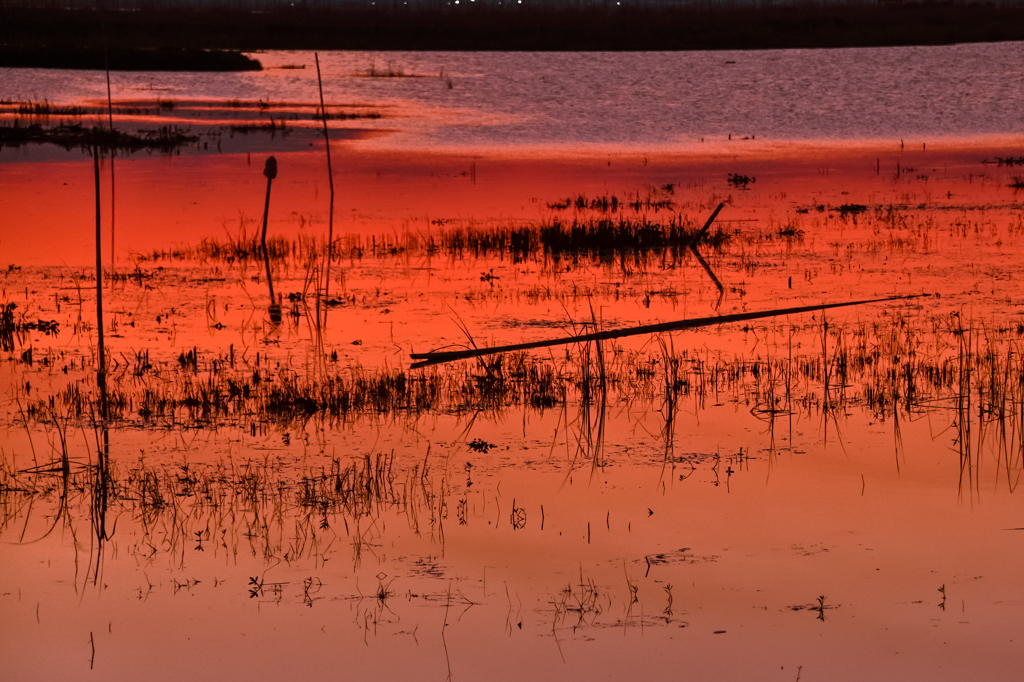 Myanmar Inle Lake Sunset