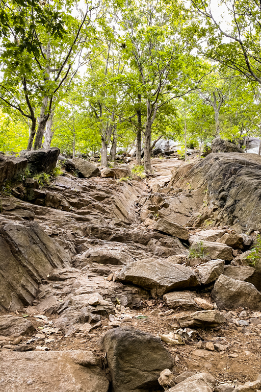 Breakneck Ridge Trail